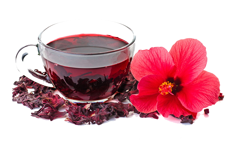 Foodking - فست فود و رستوران وردپرس